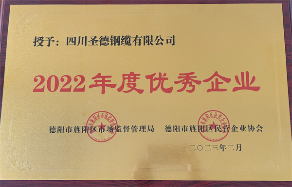 2022年度優(yōu)秀企業(yè)